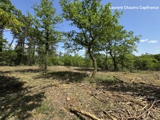 Terrain à bâtir 2400m² -  BASSILLAC ET AUBEROCHE (24)