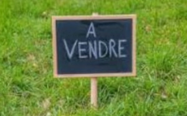 Terrain à vendre  LE MOULE (971)