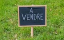 À VENDRE : Terrain d'Exception à Saint-Barthélemy ?