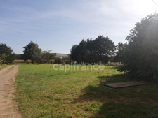 Dpt Sarthe (72), à vendre ALLONNES - POUR INVESTISSEURS - maison P6   SH 180m2 - terrain 2841 m2