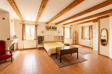 Propriété de caractère en pierre – 556 m² – Saint-Étienne-de-Serre