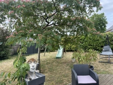 ST HILAIRE ST FLORENT MAISON 3 CHAMBRES DE PLAIN PIED SUR PARCELLE DE 848M2 DE TERRAIN ARBORE CLOS