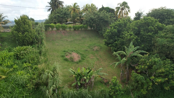 Terrain à vendre  SAINTE MARIE (972)
