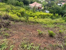 Terrain à vendre de 450,00 m² LA TRINITE (972)