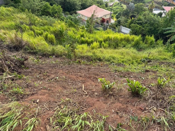 Terrain à vendre de 450,00 m² LA TRINITE (972)