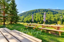 PIZZERIA – BAR – NÉVACHE – VALLÉE DE LA CLARÉE