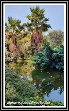 House for sale in LE GRAU D'AGDE, 6 rooms, 258m2 with a 150m2 basement (34)