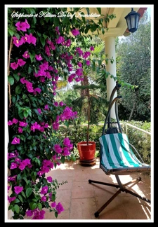 House for sale in LE GRAU D'AGDE, 6 rooms, 258m2 with a 150m2 basement (34)