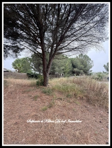 Terrain à vendre  LE GRAU D'AGDE (34)