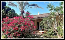 House for sale in LE GRAU D'AGDE, 6 rooms, 258m2 with a 150m2 basement (34)