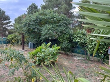 Maison familiale de 110 m² avec jardin arboré à Écommoy