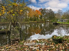 ? Terrain de loisirs avec étang – 11 110 m² – Maigné