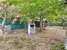 Terrain de loisir arboré de 1360m2 avec cabanon aménagé de 24m2 — Marigné-Laillé