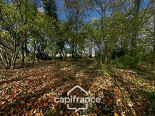 À vendre – Terrain de loisir 4 500 m² avec abris de jardin "chalet" aménagé – Lavernat (72, Sarthe)