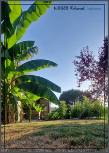 Prestige et élégance  -  Maison d'exception avec vue panoramique.