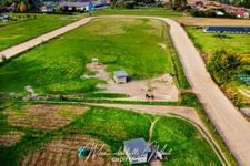 Propriété de 7ha avec deux habitations et nombreuses dépendances