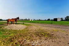 Propriété de 7ha avec deux habitations et nombreuses dépendances
