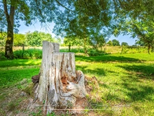 Longère de caractère avec parc arboré