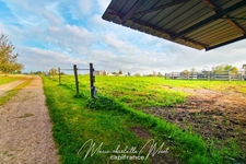 Propriété de 7ha avec deux habitations et nombreuses dépendances