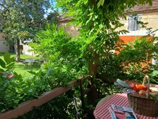 Maison à vendre 6 pièces SAINT GERMAIN DES PRES (24)