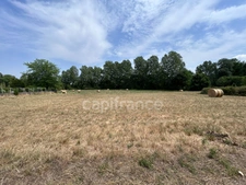Terrain à vendre  COULAURES (24) 8637m²