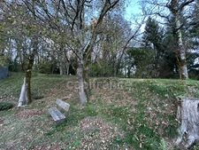 Maison à vendre 11 pièces 8 chambres SAVIGNAC LES EGLISES (24) proche école de Savignac, 1239m² de terrain