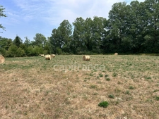 Terrain à vendre  COULAURES (24) 8637m²