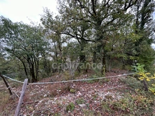 Terrain à vendre  16300m² SAINT PANTALY D'EXCIDEUIL (24)