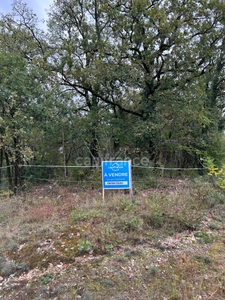 Terrain à vendre  16300m² SAINT PANTALY D'EXCIDEUIL (24)