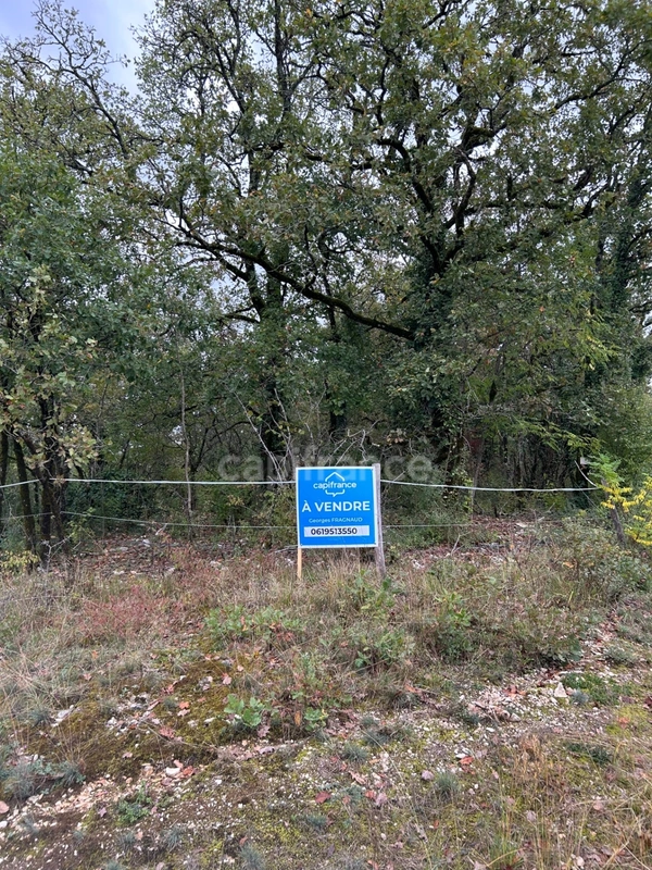 Terrain à vendre  16300m² SAINT PANTALY D'EXCIDEUIL (24)