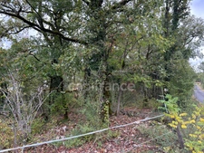 Terrain à vendre  16300m² SAINT PANTALY D'EXCIDEUIL (24)