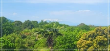 VENTE EN VIAGER OCCUPE - BOUQUET SANS RENTE