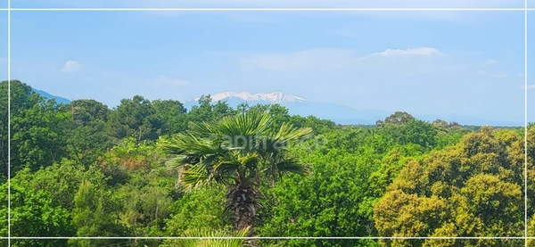 VENTE EN VIAGER OCCUPE - BOUQUET SANS RENTE