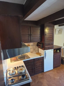 CORSE DU SUD EVISA (20)  T2 dans une maison de village 