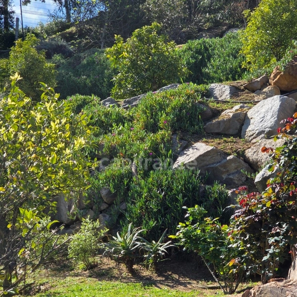 BASTELICACCIA (Corse du sud) proche AJACCIO: Villa de 360m2 avec  piscine et jardin paysager