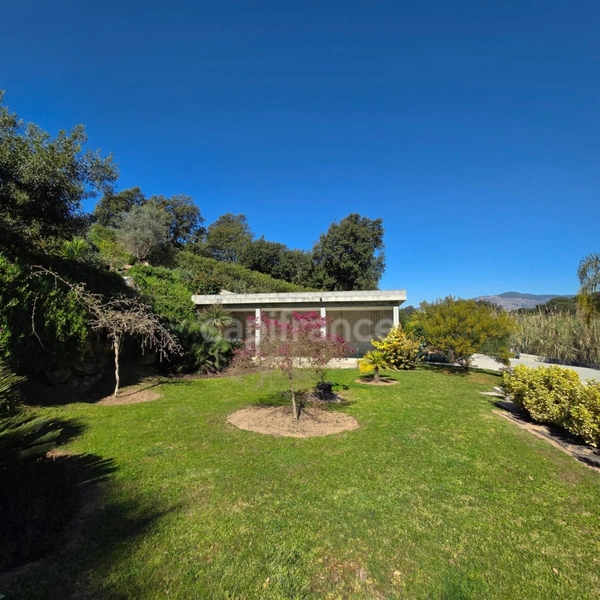 BASTELICACCIA (Corse du sud) proche AJACCIO: Villa de 360m2 avec  piscine et jardin paysager