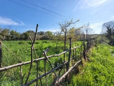 Hangar agricole à vendre CROZON (29)