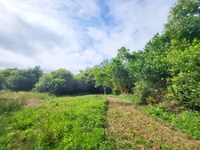 Terrain à vendre  CROZON (29)