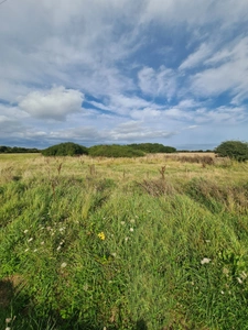 Terrain à vendre  CROZON (29)