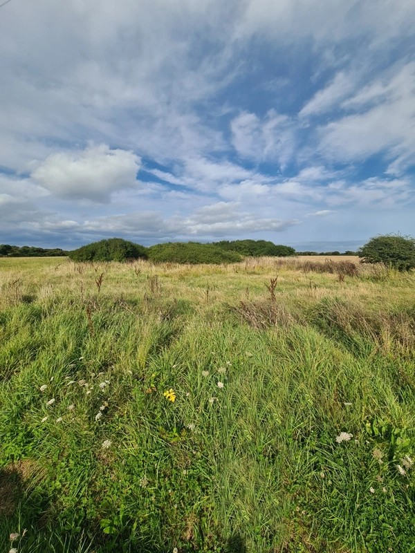 Terrain à vendre  CROZON (29)