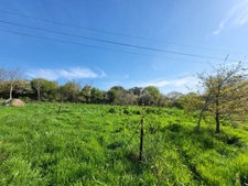 Hangar agricole à vendre CROZON (29)