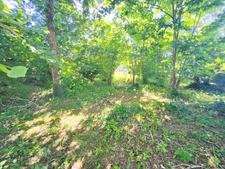 Terrain constructible à vendre  ARGOL (29)