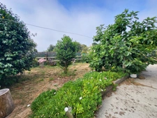 Maison à vendre 4 pièces ROSCANVEL (29)