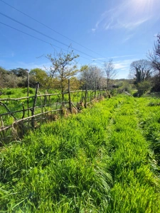 Hangar agricole à vendre CROZON (29)
