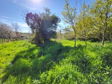 Local/bureau à vendre CROZON (29)