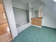 Maison contemporaine à vendre 8 pièces ARGOL (29)