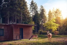 Programme immobilier neuf de 1 lot à Morton (86120)