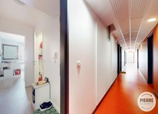 New real estate development of 1 unit in Palaiseau (91120)