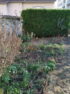 Programme immobilier neuf de 1 lot à Lyon (69008)