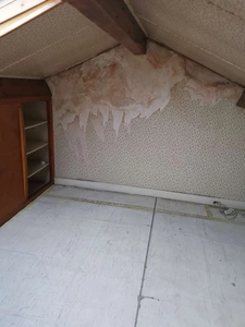 Programme immobilier neuf de 1 lot à Lyon (69008)